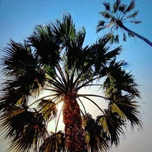 Meet your Posher, Esther